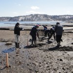 2015春の野尻湖地質調査