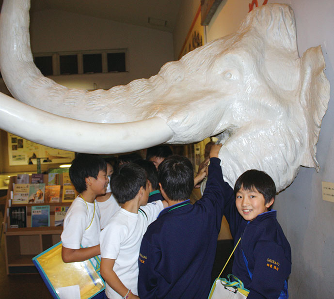 Why not you try touching a cheek tooth of a Naumann Elephant?