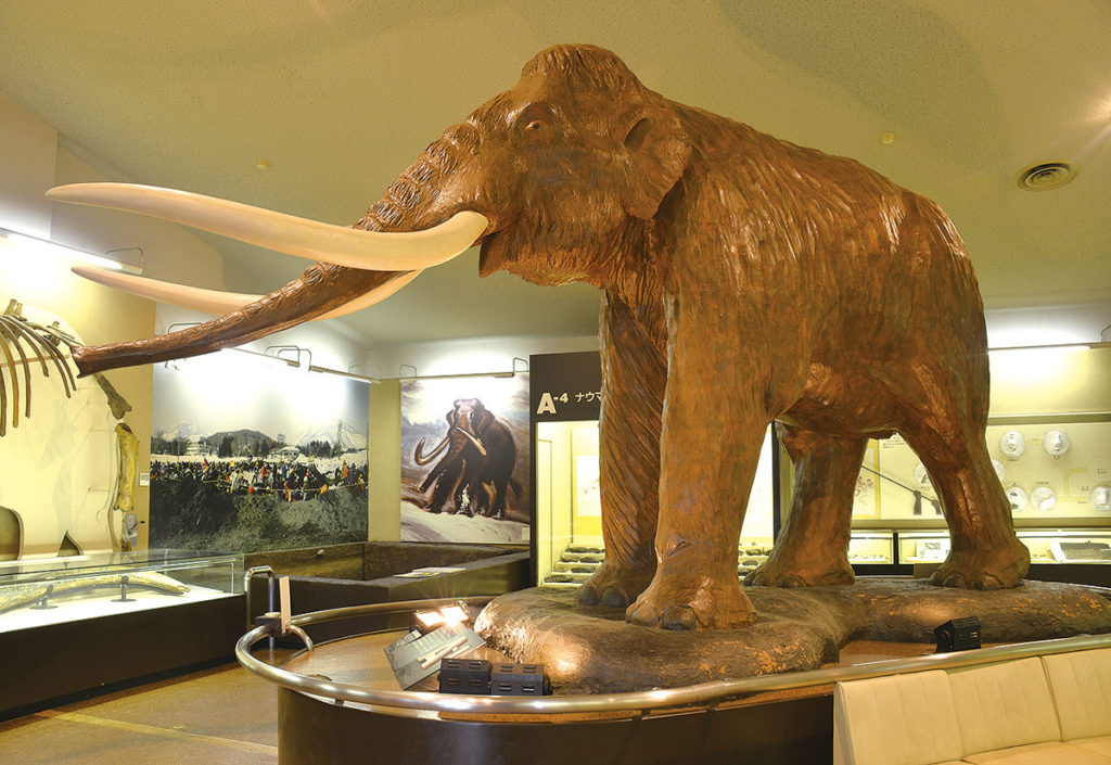 Naumann Elephant (life size reconstructed statue)