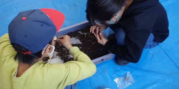 OLYMPUS DIGITAL CAMERA