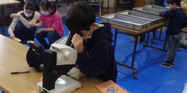 OLYMPUS DIGITAL CAMERA