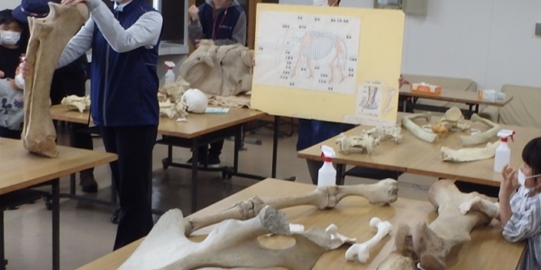 OLYMPUS DIGITAL CAMERA